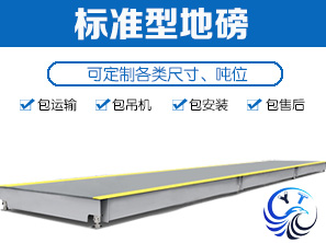 標(biāo)準(zhǔn)配置地磅